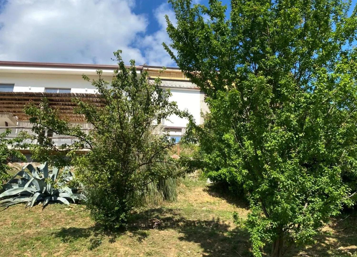 Guest house Villa Patrizia Pietrasanta Italy
